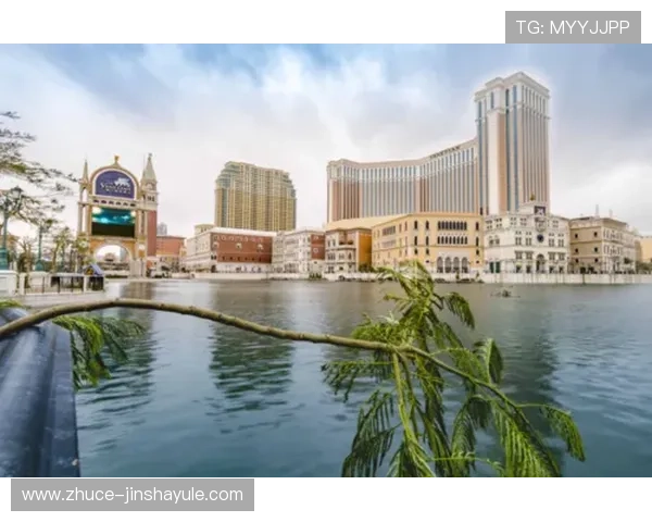 金沙威尼斯人官方网站最新攻略助你轻松掌握游戏技巧提升胜率