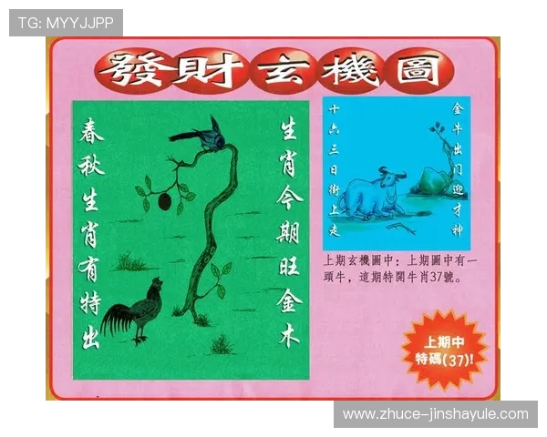 澳门彩官网真人游戏最新玩法介绍与技巧分享助你轻松赢取大奖